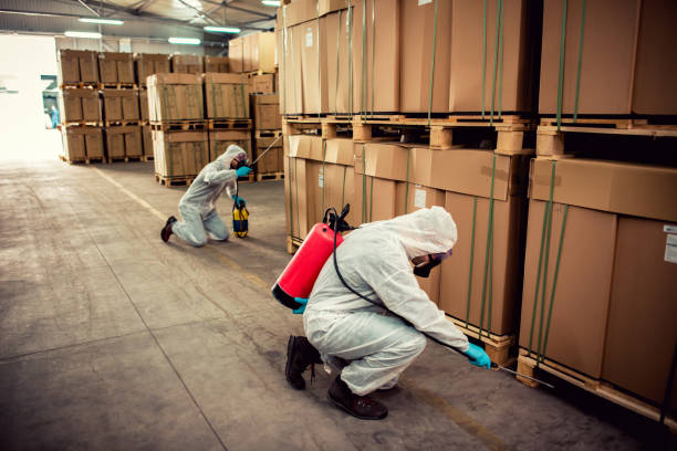 Best Pest Control for Restaurants  in Adairsville, GA