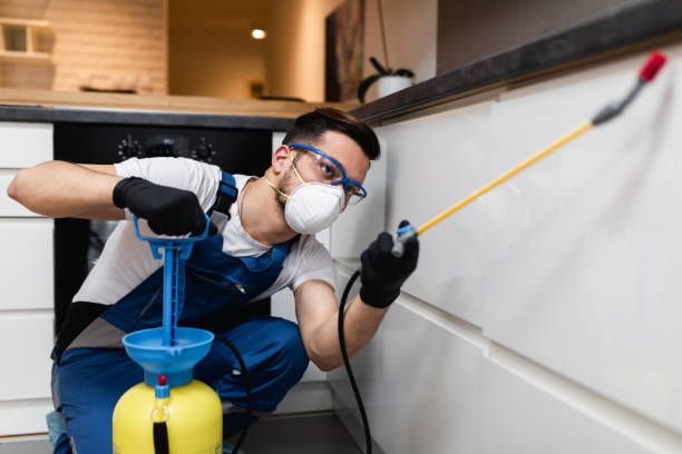 Best Mosquito Control Services  in Adairsville, GA