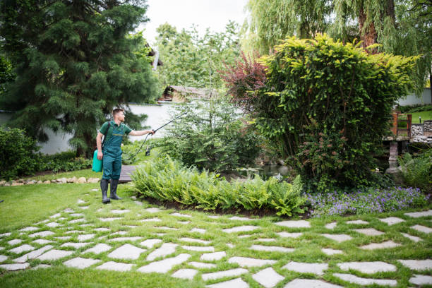 Best Mosquito Control Services  in Adairsville, GA