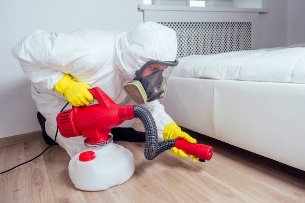 Best Emergency Pest Control  in Adairsville, GA