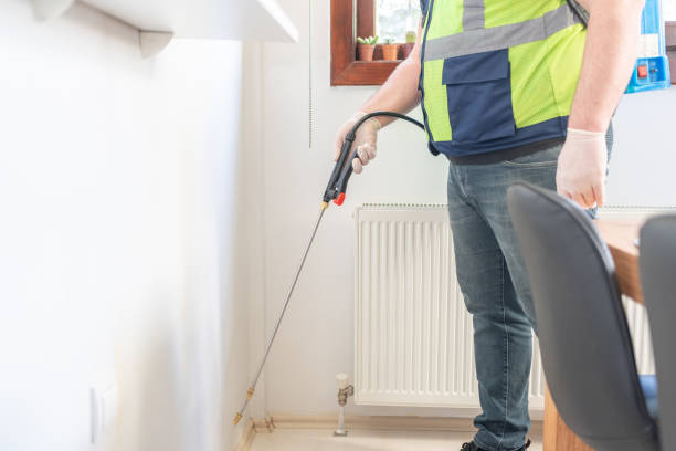 Best Affordable Pest Control Services  in Adairsville, GA