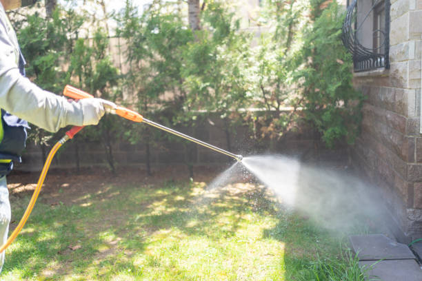 Best Spider Control Near Me  in Adairsville, GA