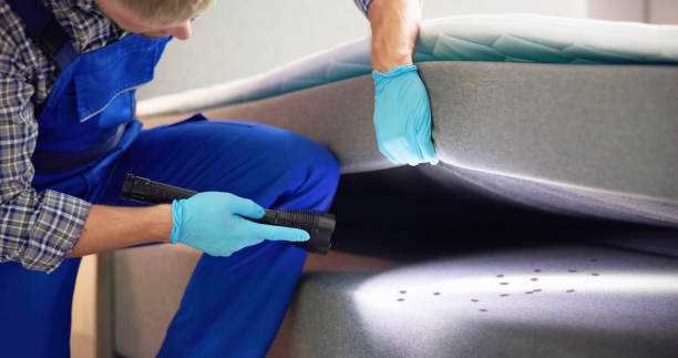 Pest Prevention Services in Adairsville, GA