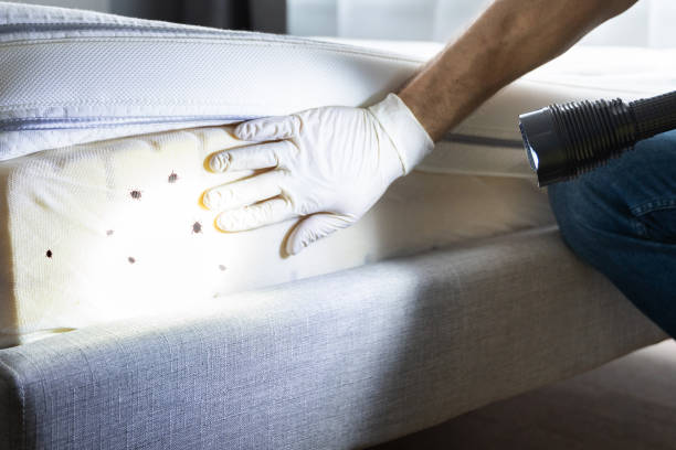 Best Pest Control Near Me in Adairsville, GA