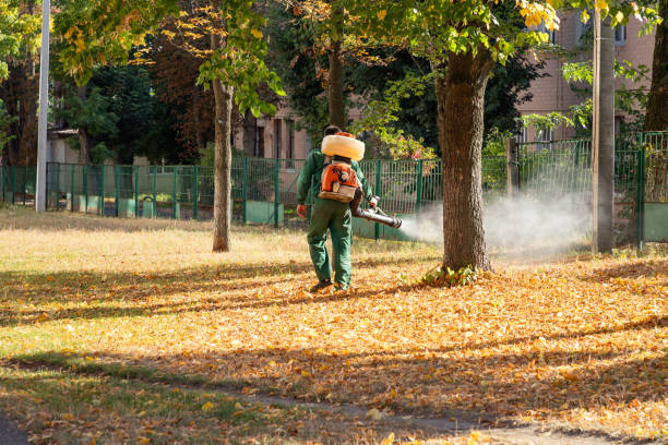 Best Pest Control Near Me  in Adairsville, GA