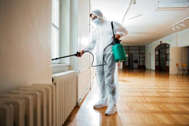 Professional Pest Control in Adairsville, GA